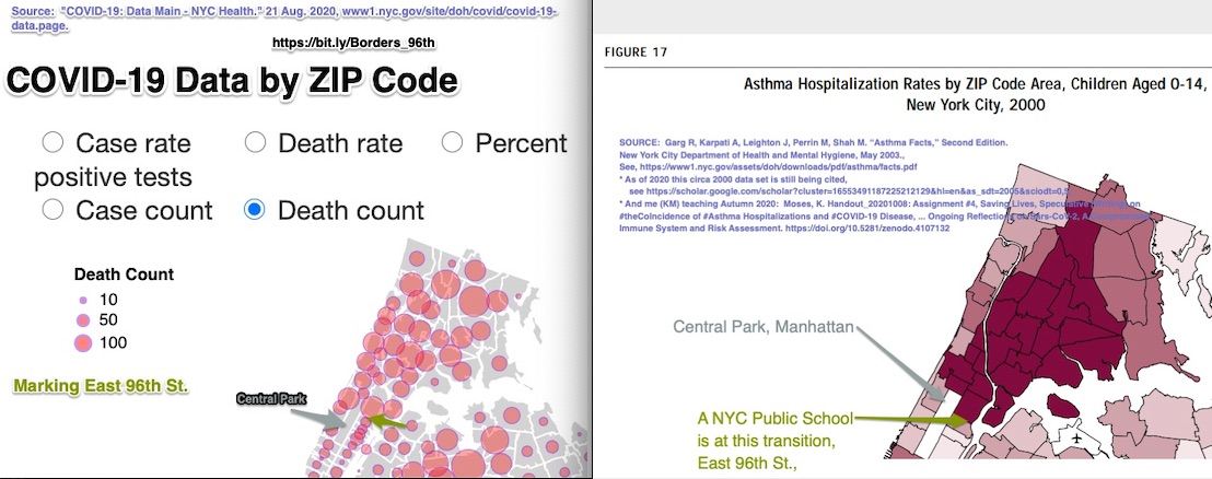 Figure 3: The 96th St. Health Divide